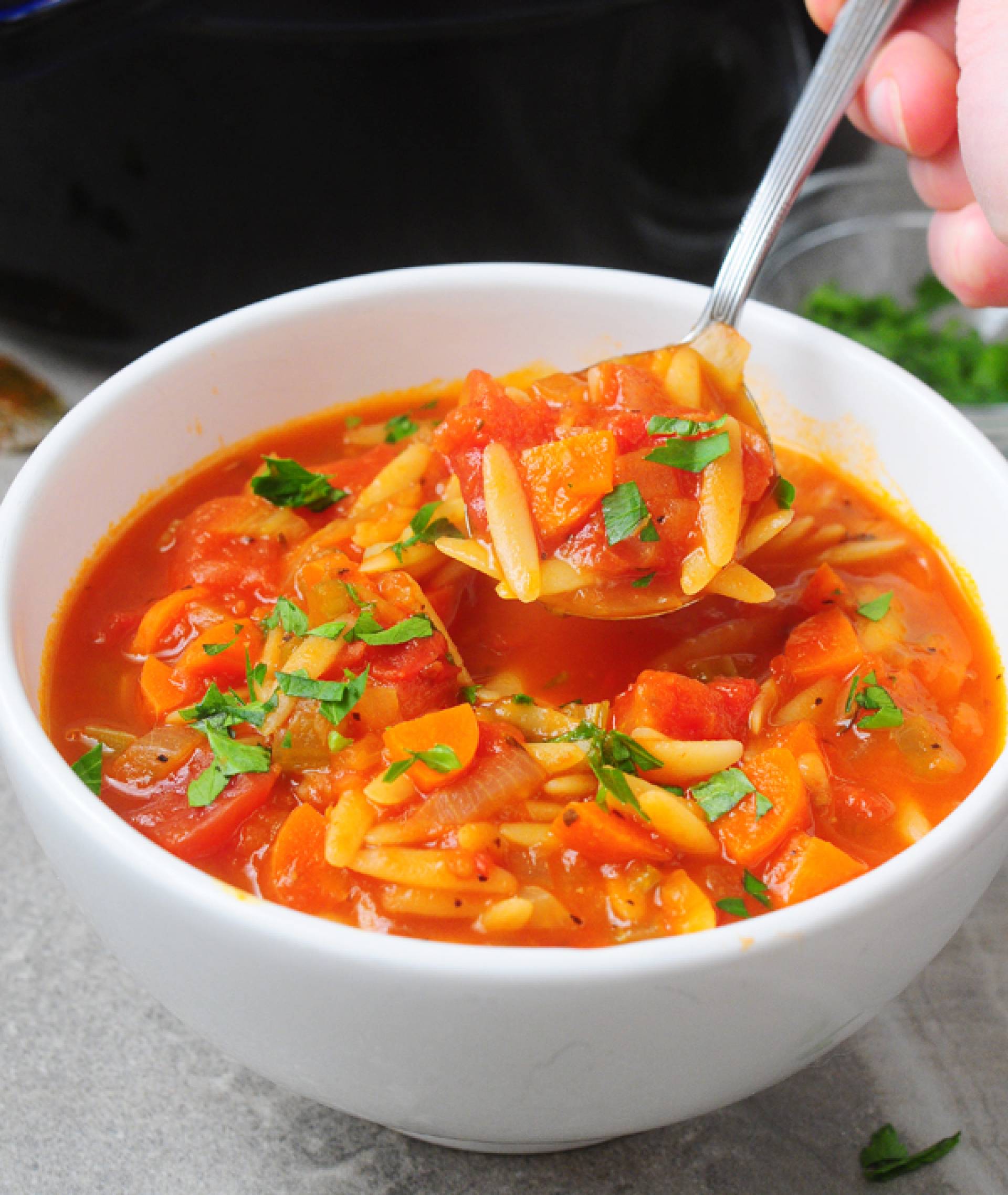 Orzo tomato soup